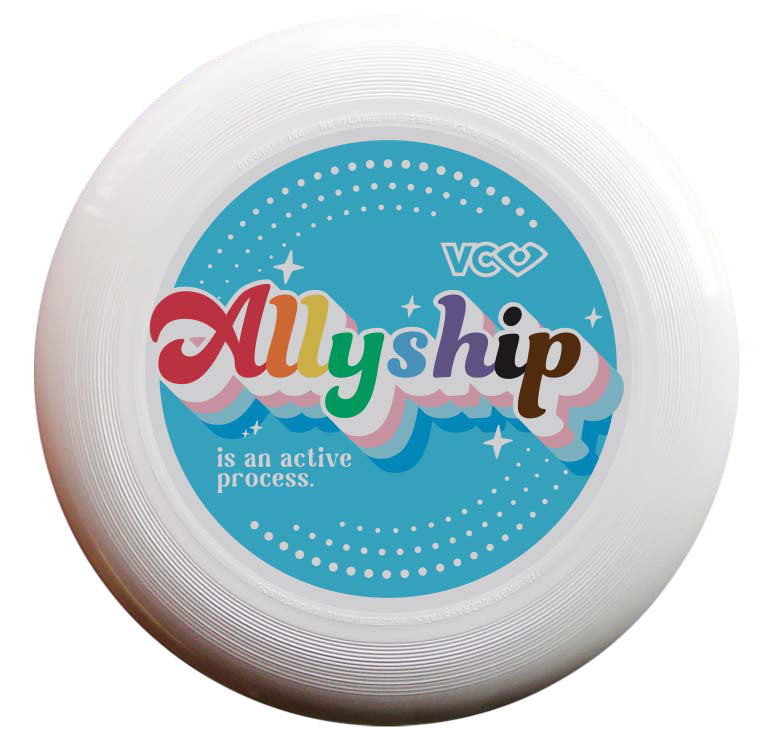 Allyship Vintage Pride Disc